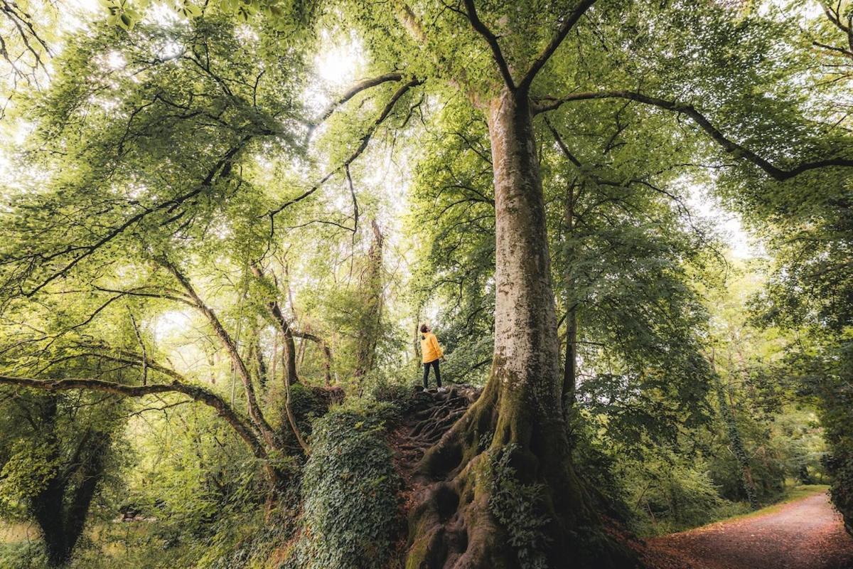 Vila La Grange Et Le Nid Saint-Pierre-des-Nids Exteriér fotografie